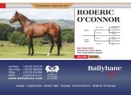 Ballyhane RODERIC O'CONNOR - Thoroughbred Stallion Guide