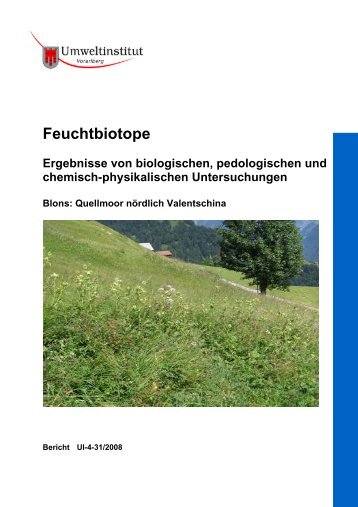 Valentschina - Vorarlberg