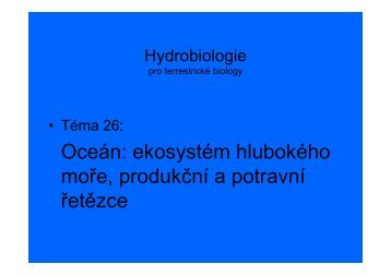 Oceán: ekosystém hlubokého moře, produkční a potravní řetězce