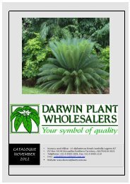 ! ! ! CATALOGUE NOVEMBER 2012! - Darwin Plant Wholesaler