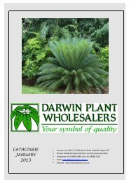 CATALOGUE JANUARY 2013 - Darwin Plant Wholesaler