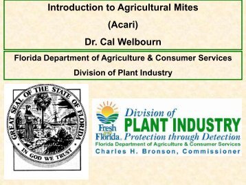 Introduction to Agricultural Mites (Acari) Dr. Cal Welbourn