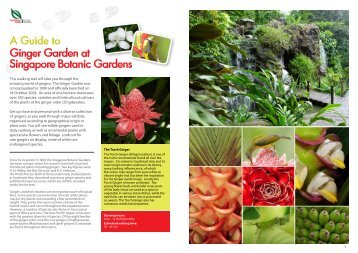 Ginger Garden at Singapore Botanic Gardens - National Parks Board