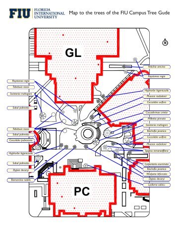 Map to the trees of the FIU Campus Tree Gude