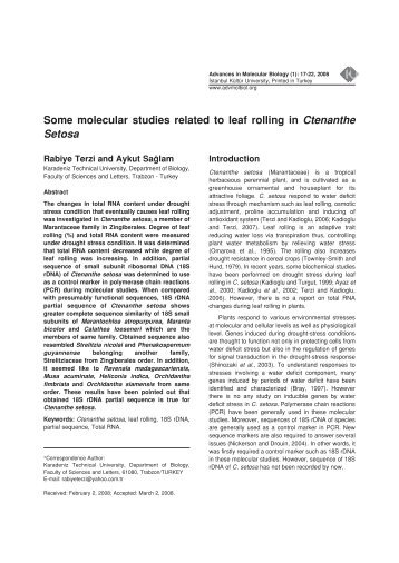 Ctenante setosa - Advances in Molecular Biology