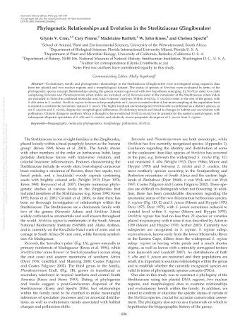 Phylogenetic Relationships and Evolution in the Strelitziaceae ...