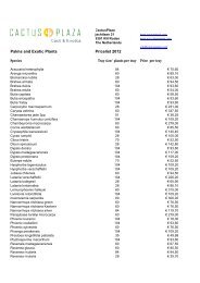 Palms and Exotic Plants Pricelist 2012 - CactusPlaza.com