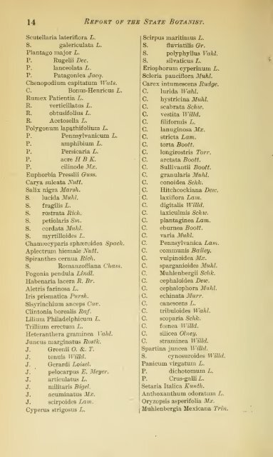 Annual Report of the State Botanist 1892 - MykoWeb