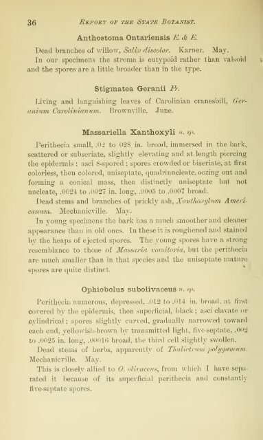 Annual Report of the State Botanist 1892 - MykoWeb