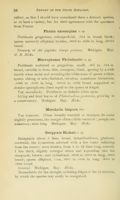 Annual Report of the State Botanist 1892 - MykoWeb