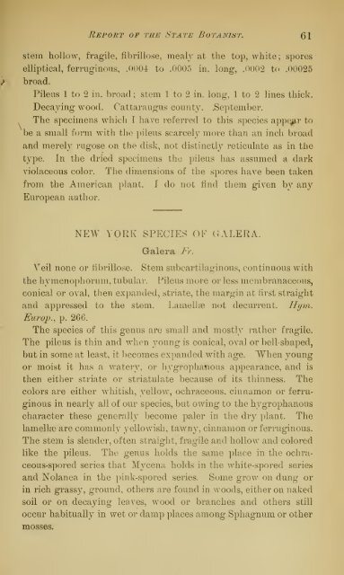 Annual Report of the State Botanist 1892 - MykoWeb