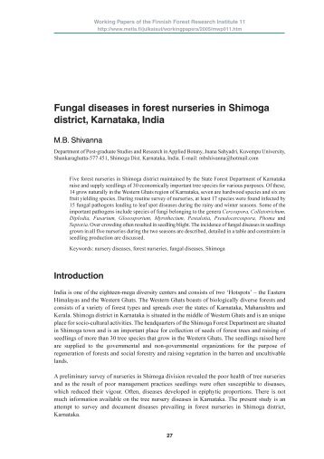 Fungal diseases in forest nurseries in Shimoga District ... - Metla