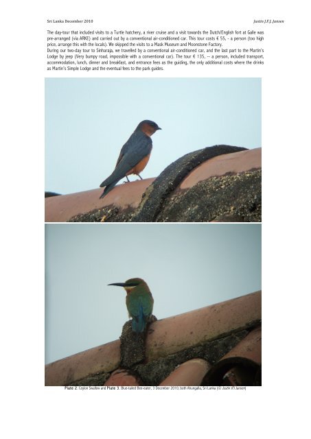 Ahungalla and Sinharaja (Sri Lanka) - Birdtours.co.uk