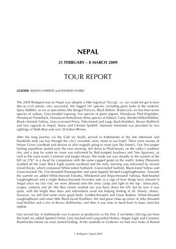 NEPAL REP 09 - Birdquest