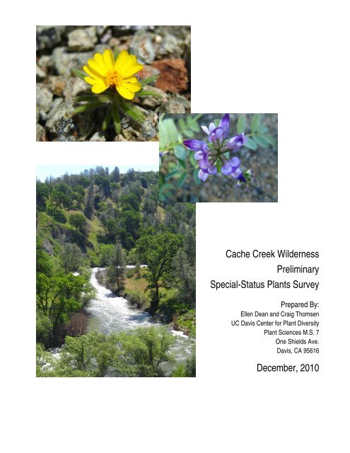 Cache Creek Natural Area - UC Davis: Center for Plant Diversity ...