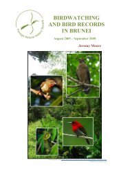 BIRDWATCHING AND BIRD RECORDS IN BRUNEI