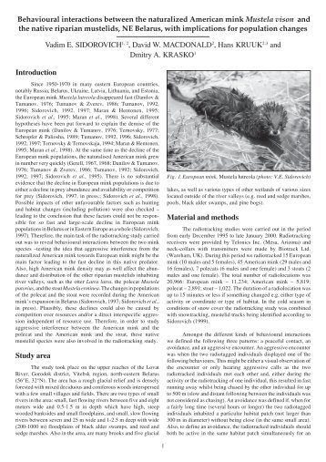 Behavioural interactions between the naturalized American mink ...