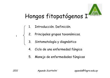 Hongos I_2011.pdf