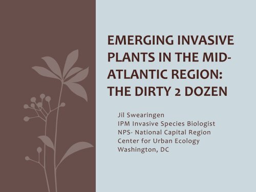 Emerging Invasive Plants in the Mid-Atlantic Region - EDDMapS