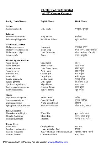 Checklist of Birds sighted at IIT Kanpur Campus