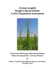 Cirsium wrightii Wright's Marsh Thistle - New Mexico - Energy ...