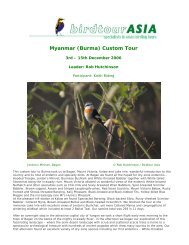 Myanmar (Burma); custom tour: 3rd - 15th December ... - Birdtour Asia