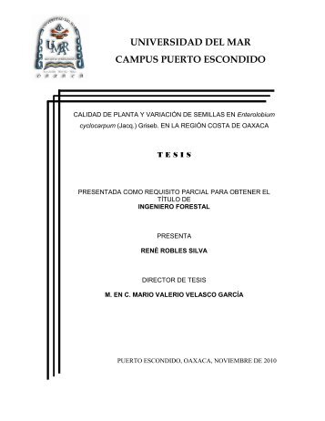 Rene Robles Silva-tesis de Ingenieria forestal.pdf - Universidad del ...