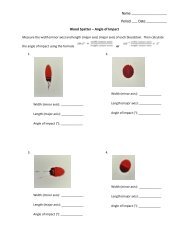Blood Spatter Worksheets