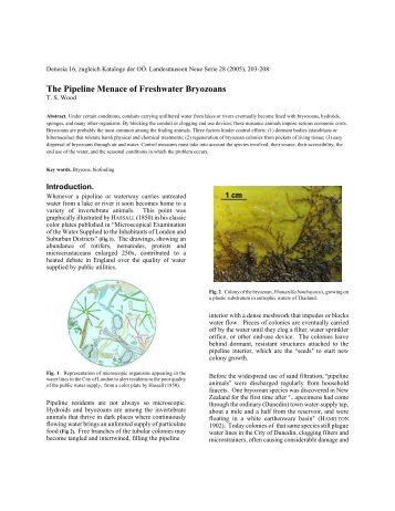 The Pipeline Menace of Freshwater Bryozoans - Bryo Technologies