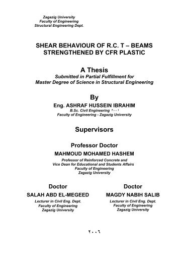 Supervisor thesis