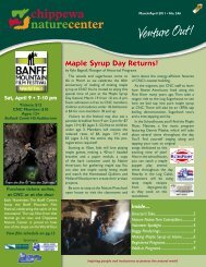 Maple Syrup Day Returns! - Chippewa Nature Center
