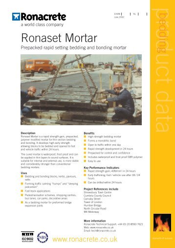 RLDS 502 Rona Mortar - Paving Expert