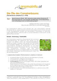 Die Öle des Campherbaums - Aromatherapie-Aromapflege