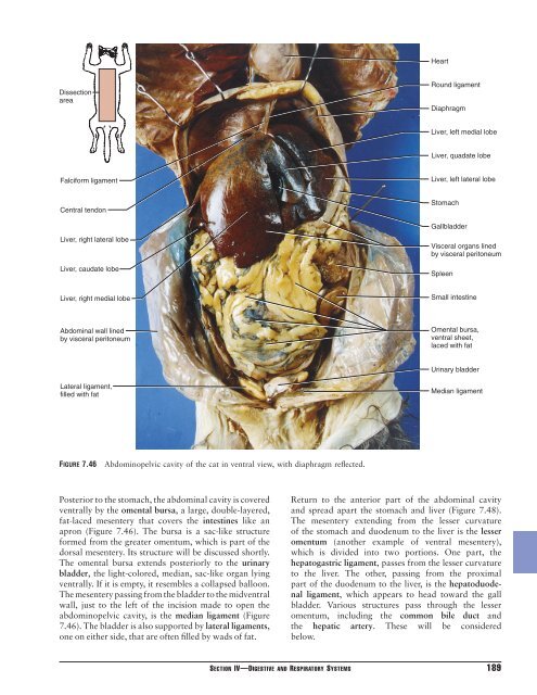 The Dissection of Vertebrates A Laboratory Manual