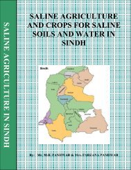 Saline Agriculture.pdf - MH Panhwar