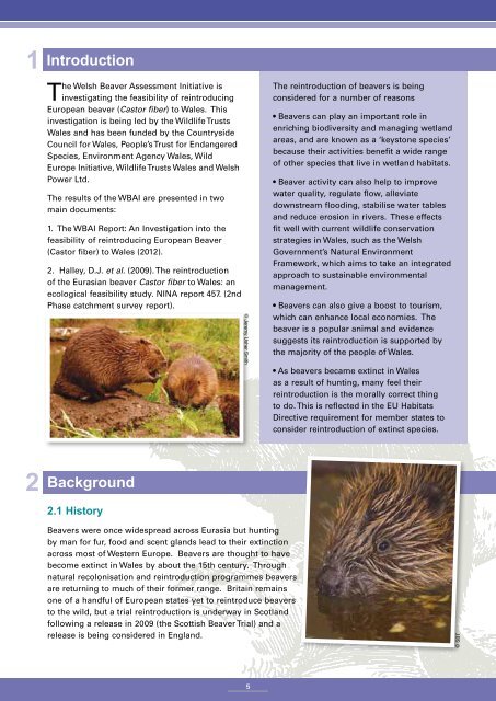 Beaver-Summary-report-English