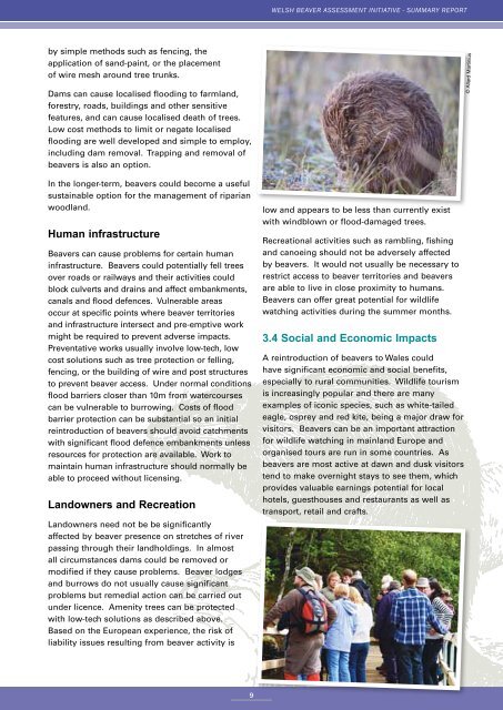 Beaver-Summary-report-English