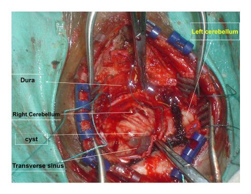 A Medley of Clinical and Radiological Case Presentations