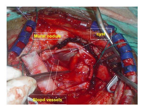 A Medley of Clinical and Radiological Case Presentations