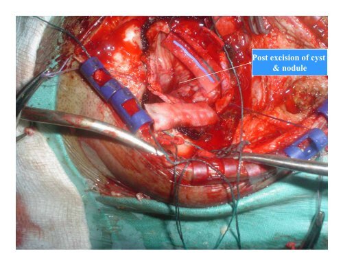 A Medley of Clinical and Radiological Case Presentations