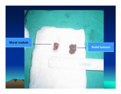 A Medley of Clinical and Radiological Case Presentations