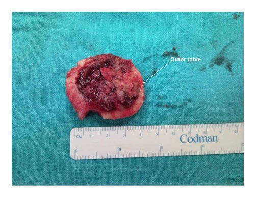 A Medley of Clinical and Radiological Case Presentations