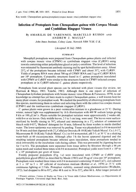 Infection of Protoplasts from Chenopodium quinoa with Cowpea ...