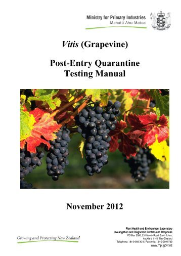 Vitis (Grapevine) Post-Entry Quarantine Testing Manual - Biosecurity ...