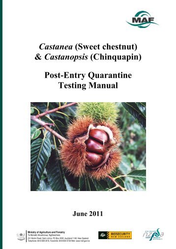 Castanea & Castanopsis (Chestnut) Testing Manual - Biosecurity ...