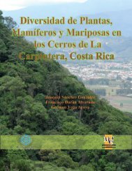 Diversidad de Plantas, Mamíferos y Mariposas en los - Epidendra