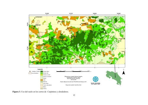 Diversidad de Plantas, Mamíferos y Mariposas en los - Epidendra