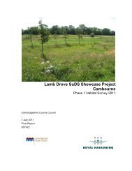 Lamb Drove - Habitat Survey 2011.pdf - Cambridgeshire County ...