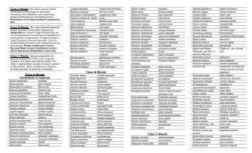 Noxious weed list alphabetized by scientific name (PDF