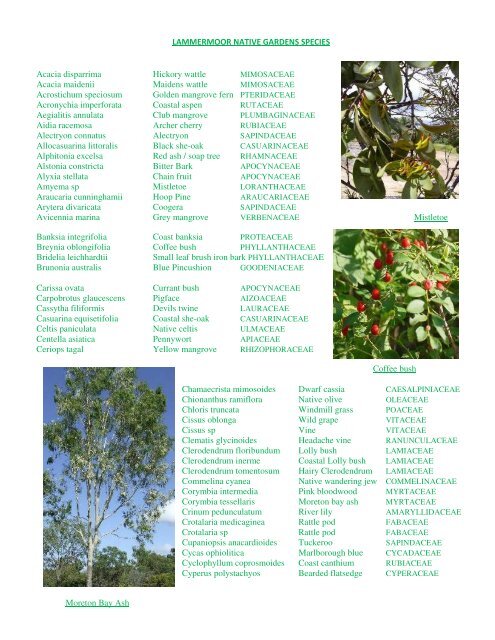 Lammermoor species with photos PDF - Lammermoor Native Gardens